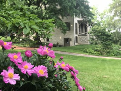 Flower and side view of Centre Furnace Mansion