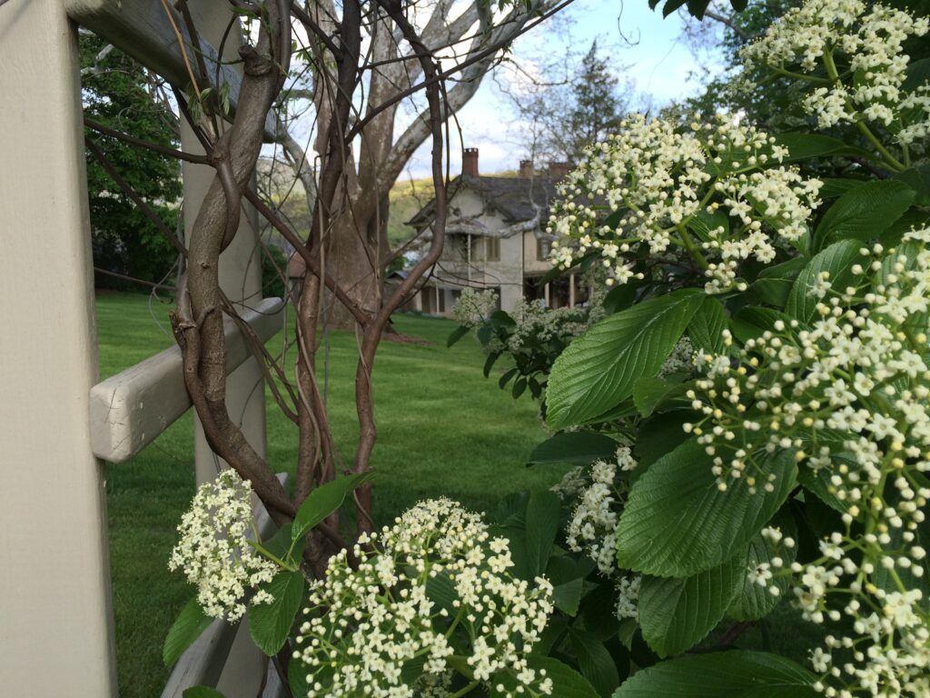 This image has an empty alt attribute; its file name is 2016-Spring-Garden-36-1-1024x768.jpg