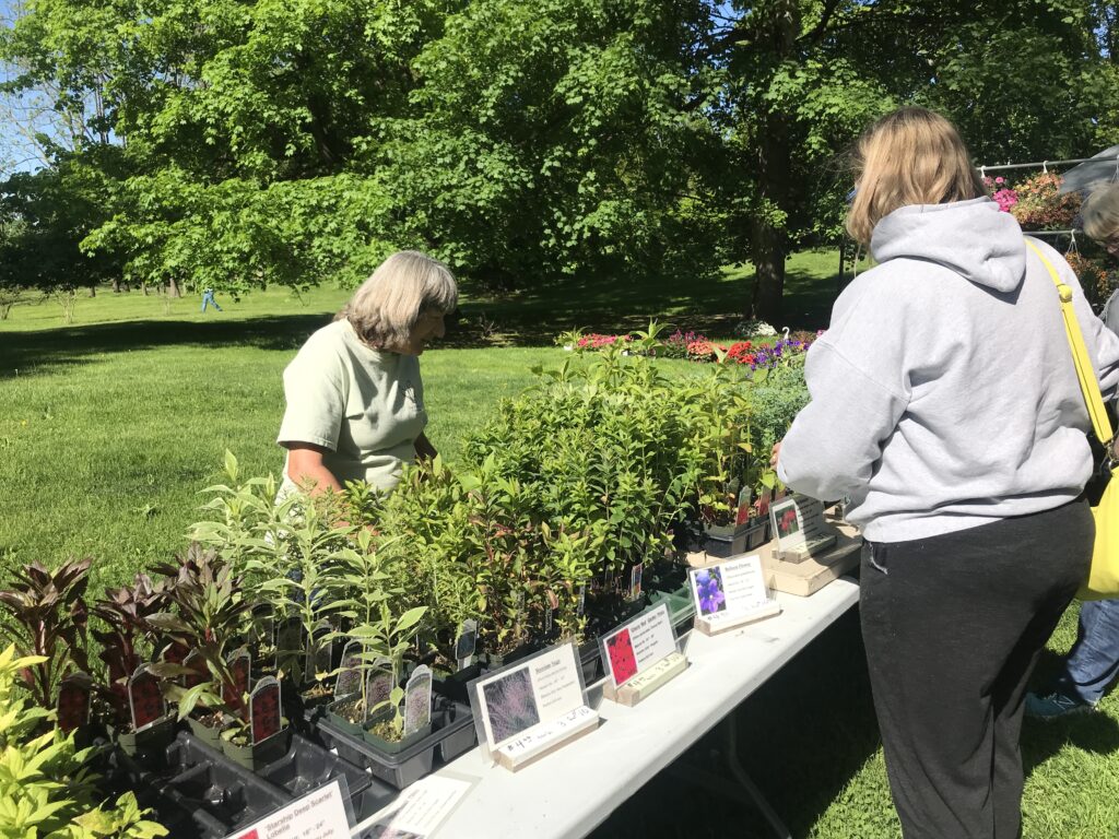 28th Annual Plant Celebration & Garden Sale at the Centre Furnace ...